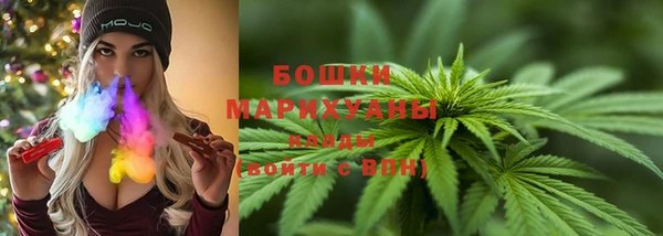 ПСИЛОЦИБИНОВЫЕ ГРИБЫ Белоозёрский