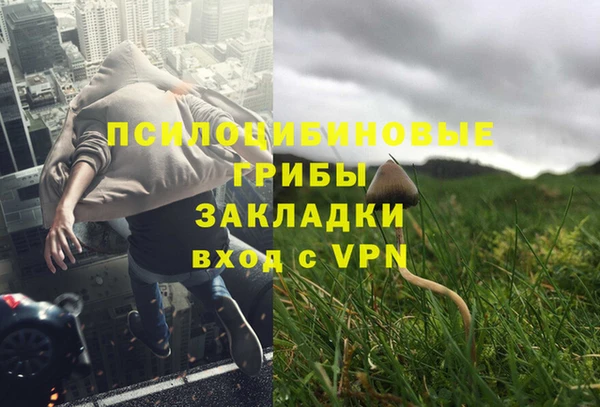 ПСИЛОЦИБИНОВЫЕ ГРИБЫ Белоозёрский