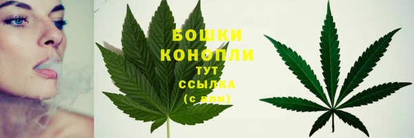 ПСИЛОЦИБИНОВЫЕ ГРИБЫ Белоозёрский