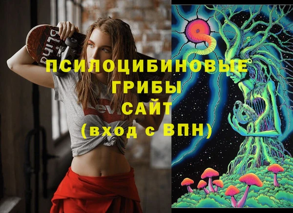 соль курить ск Белокуриха