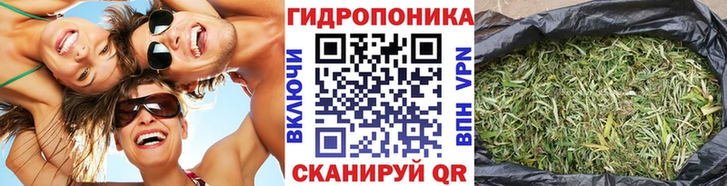 Конопля MAZAR  где можно купить наркотик  Курганинск 